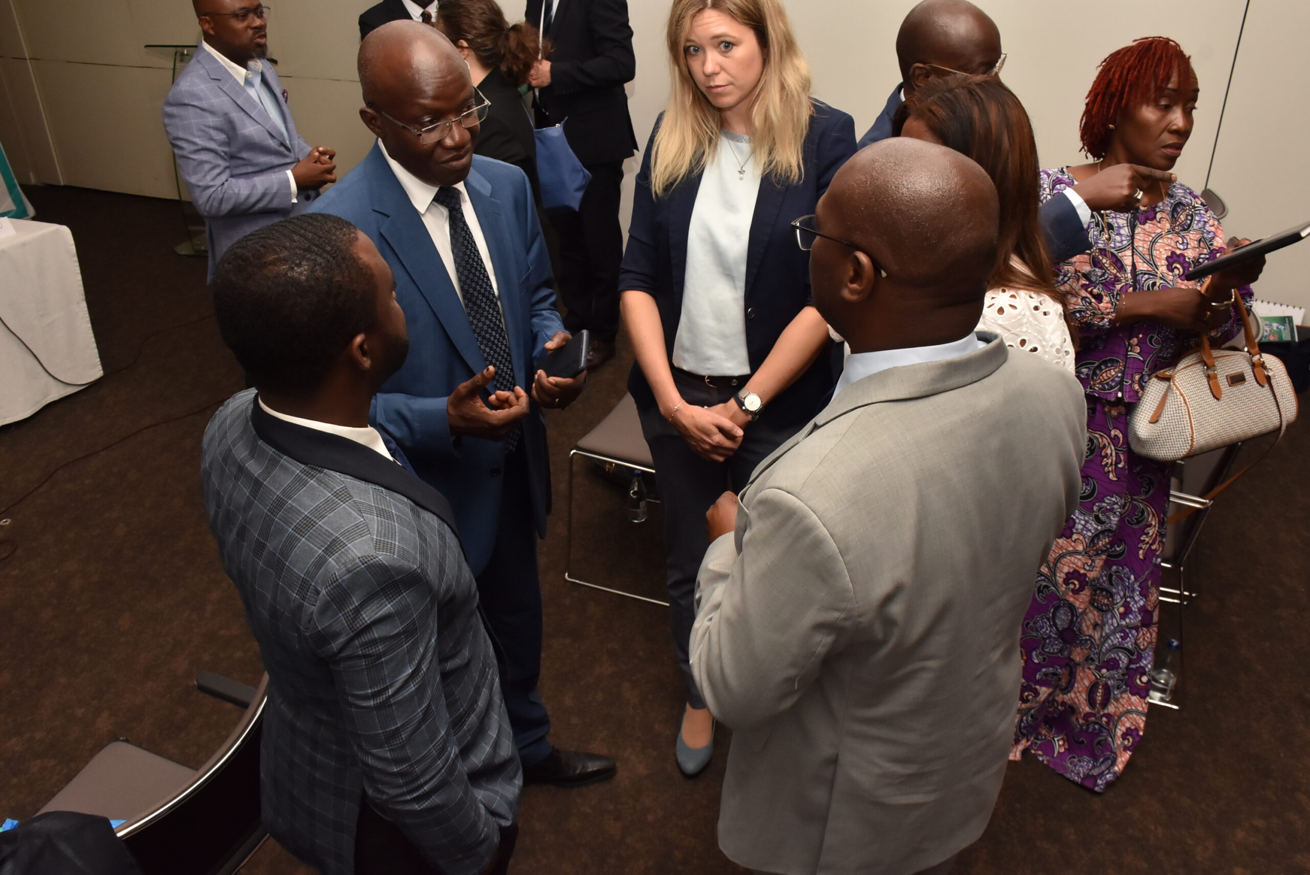 African Healthcare Development